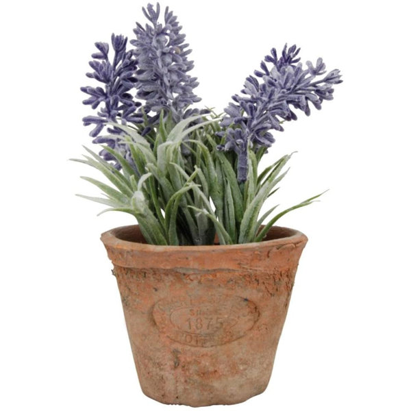 Primrue 6'' Faux Herbs Plant Wayfair
